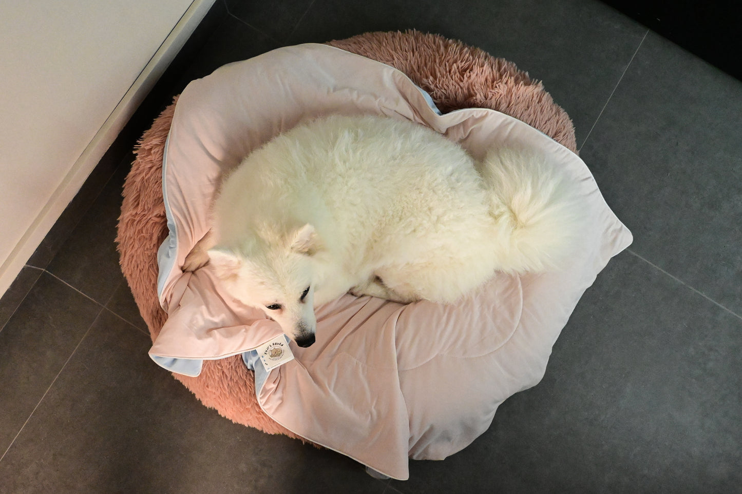 White dog lying on a pink pet bed on a tiled floor