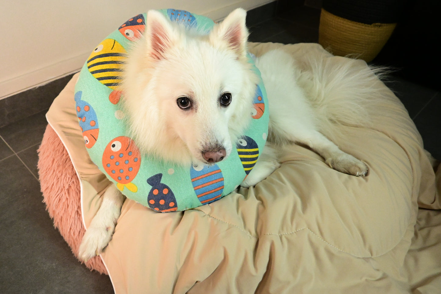 Milk Tea Cloud Blanket