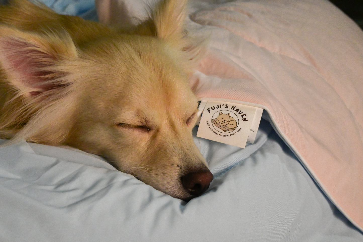 Mochi Cloud Blanket