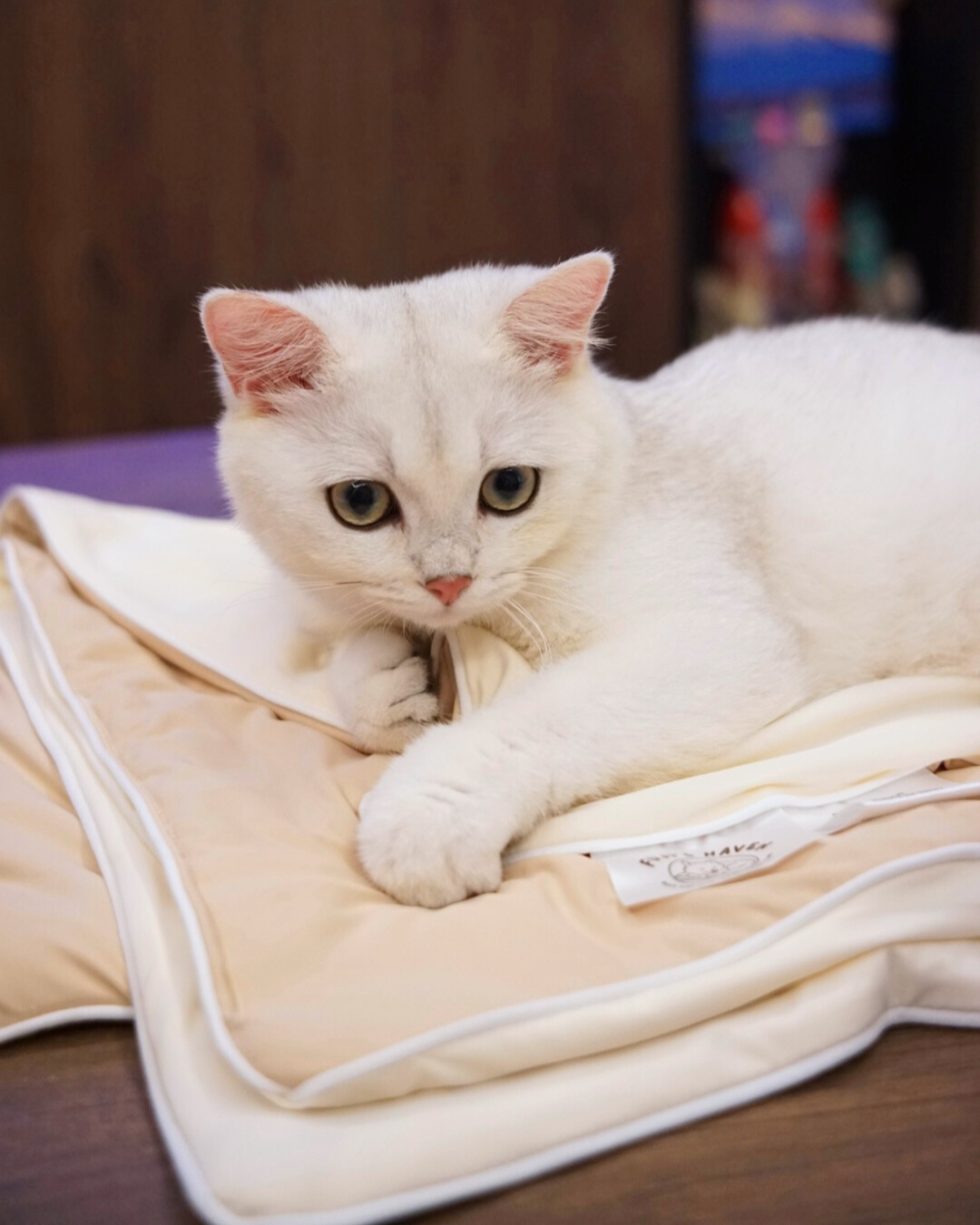 NEW DROP: Taro Matcha & Milk Tea Chiffon Cloud Blankets