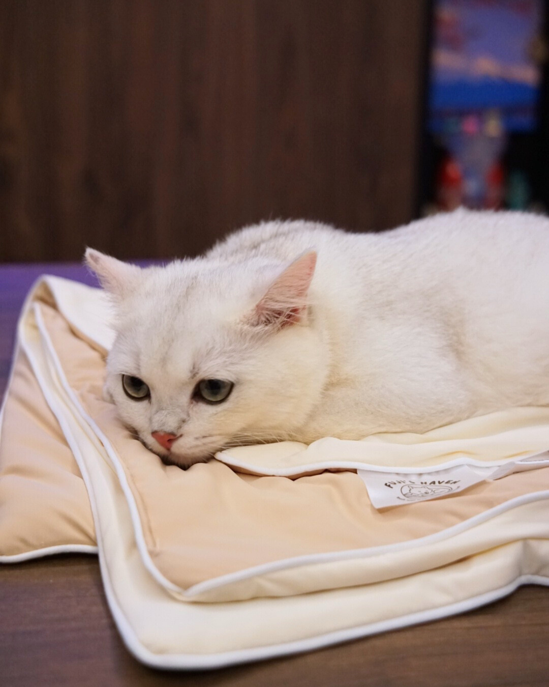 NEW DROP: Taro Matcha & Milk Tea Chiffon Cloud Blankets