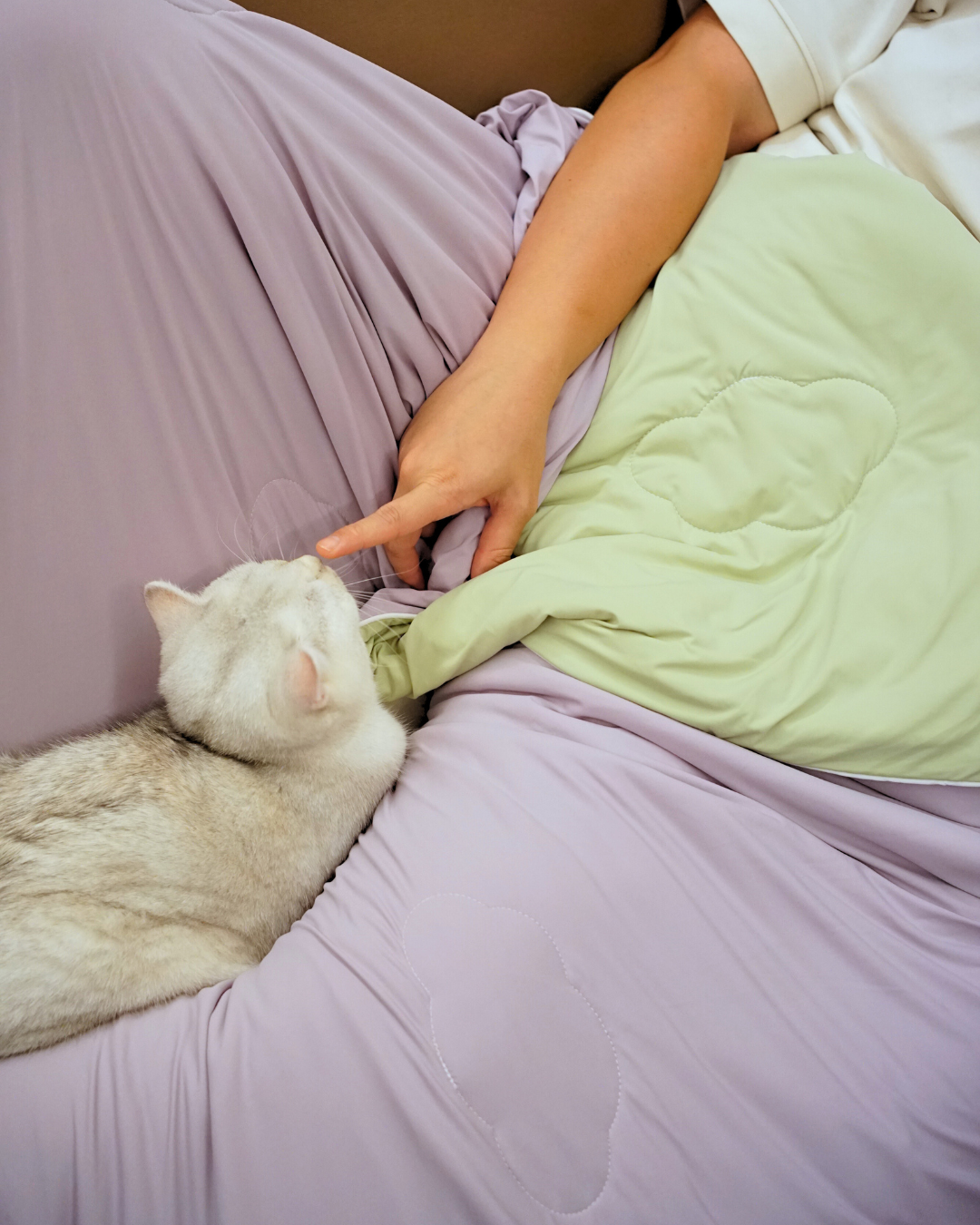 FujiCloud® Taro Matcha Blanket
