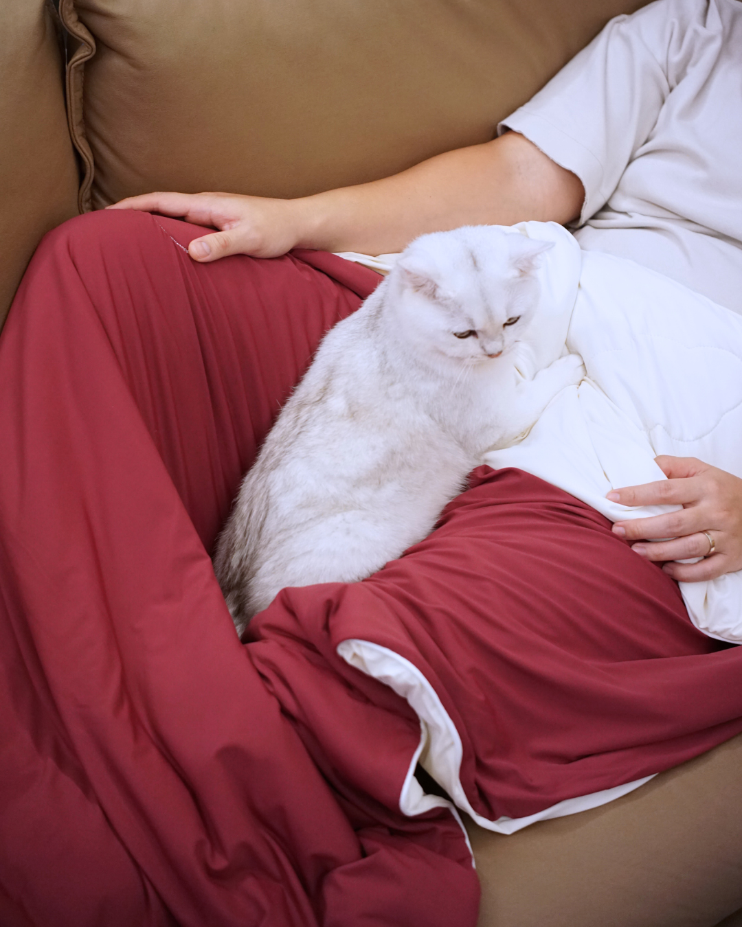 Christmas Pet & Pawrent Bundle