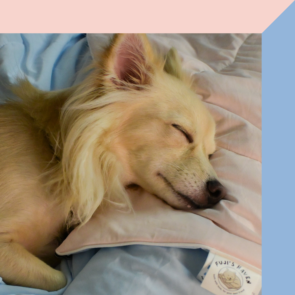 FujiCloud® Mochi Blanket