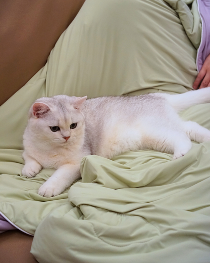 Classic Cloud Blanket