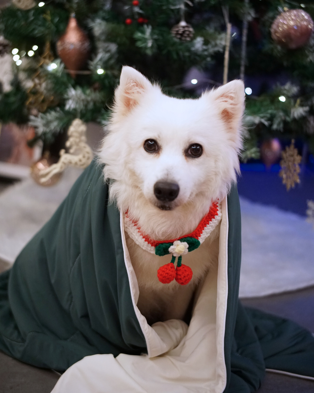 Christmas Cloud Blanket Series