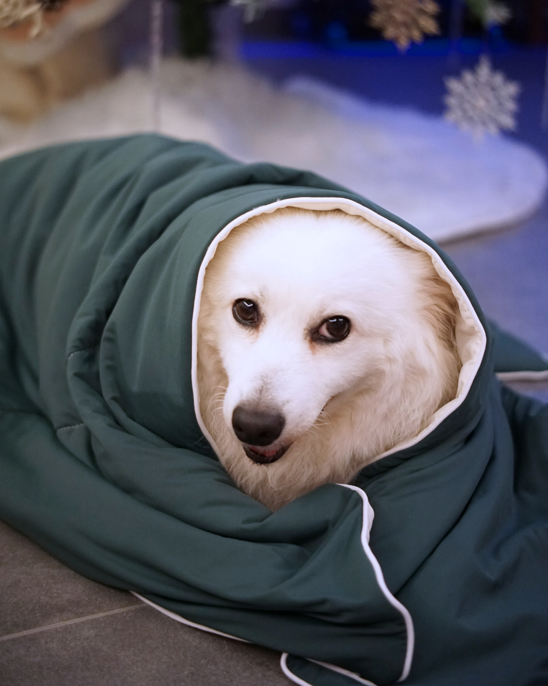 Christmas Cloud Blanket Series