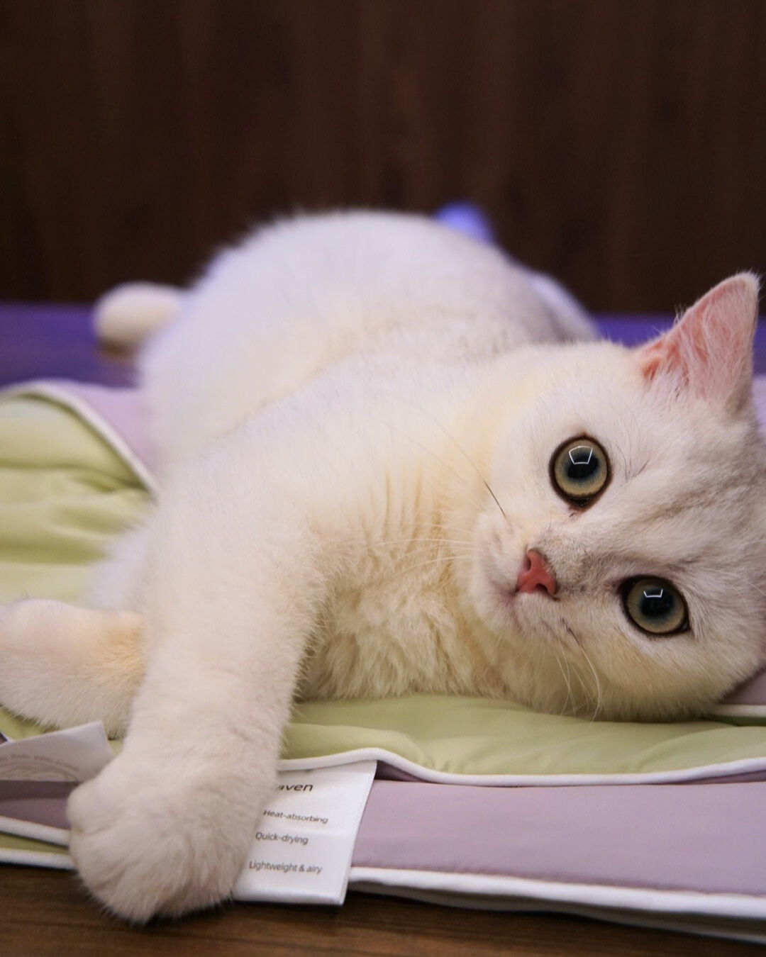 Classic Cloud Blanket Series