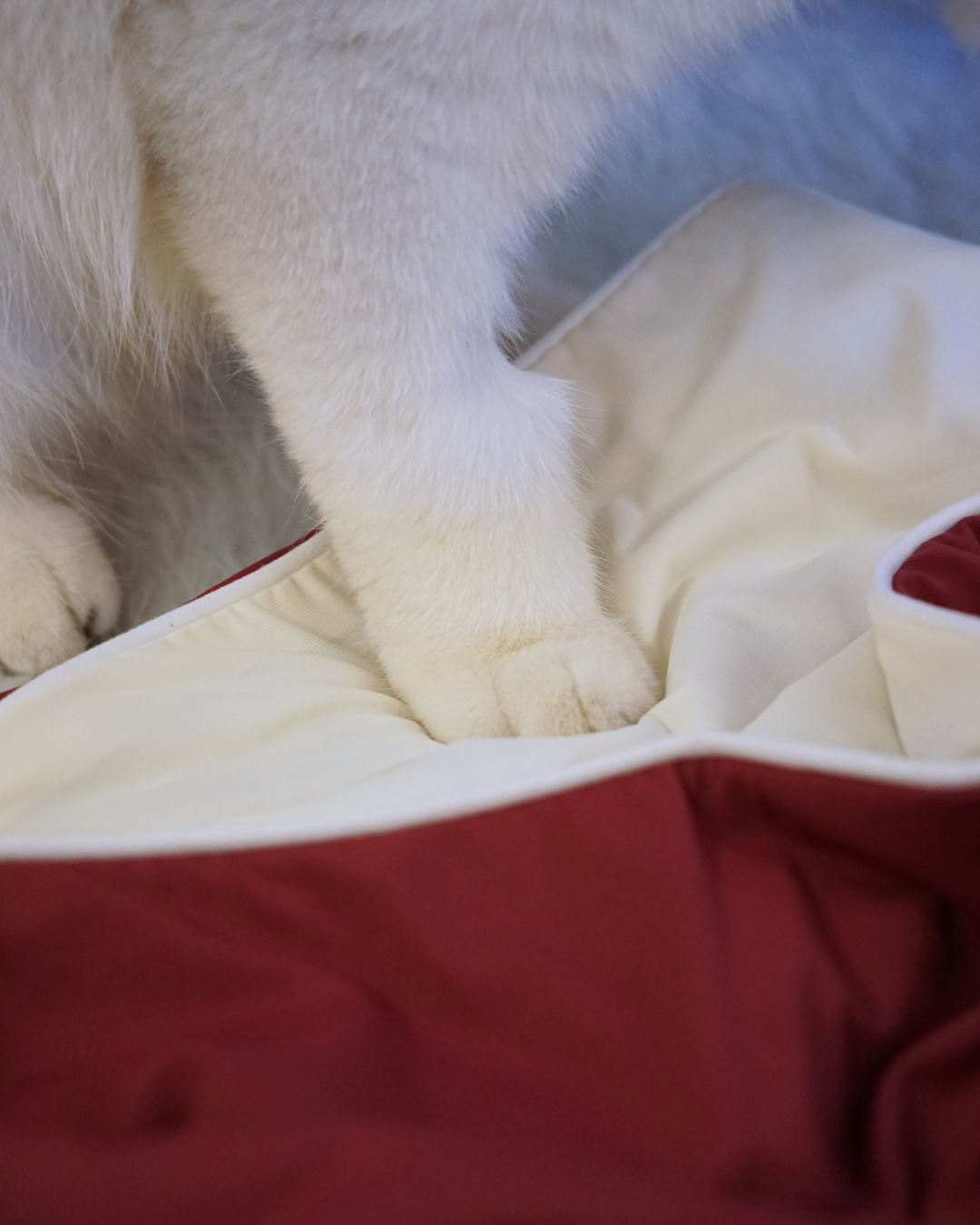 Christmas Cloud Blanket Series