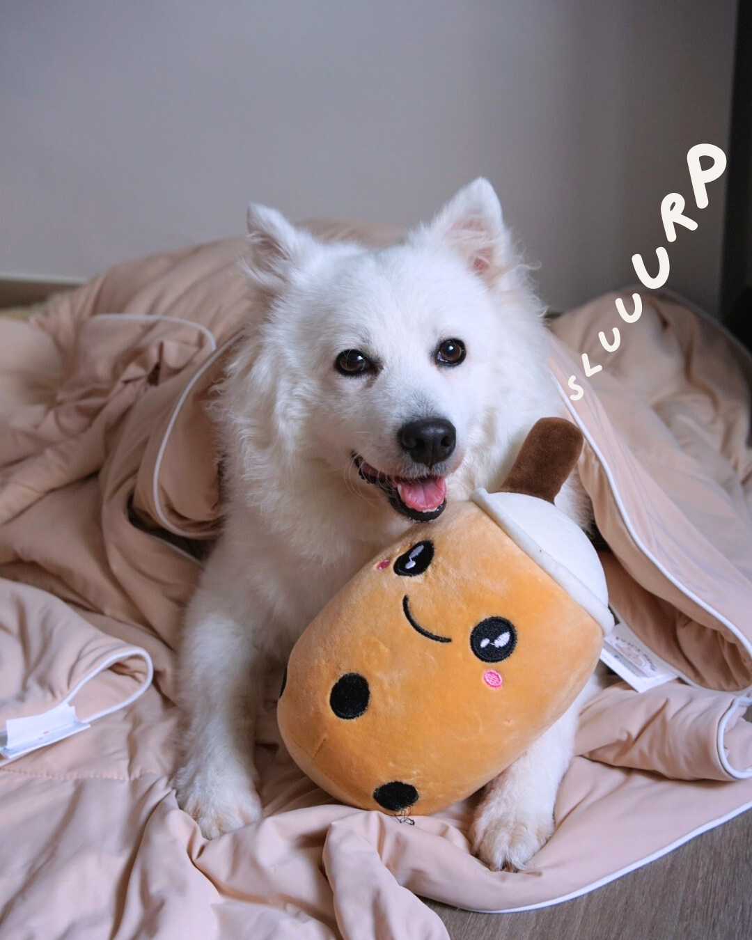 Milk Tea Cloud Blanket