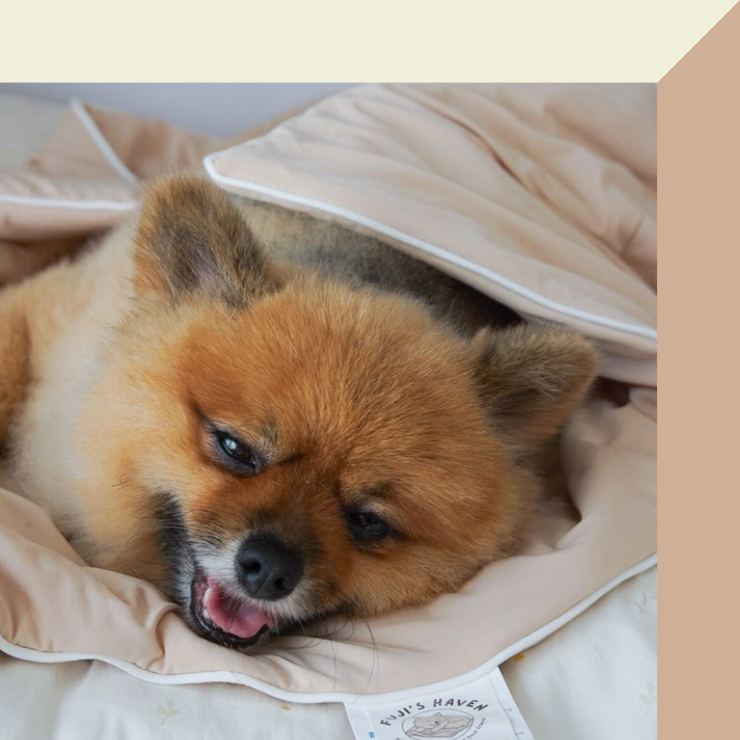 FujiCloud® Milk Tea Chiffon Blanket