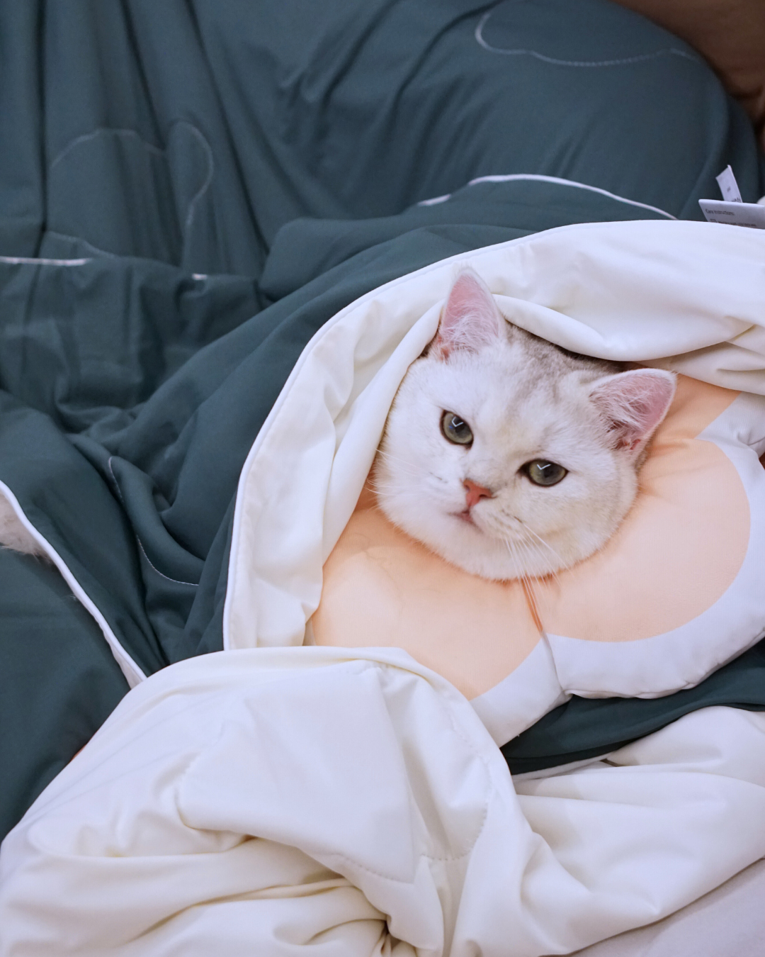 Christmas Cloud Blanket Series