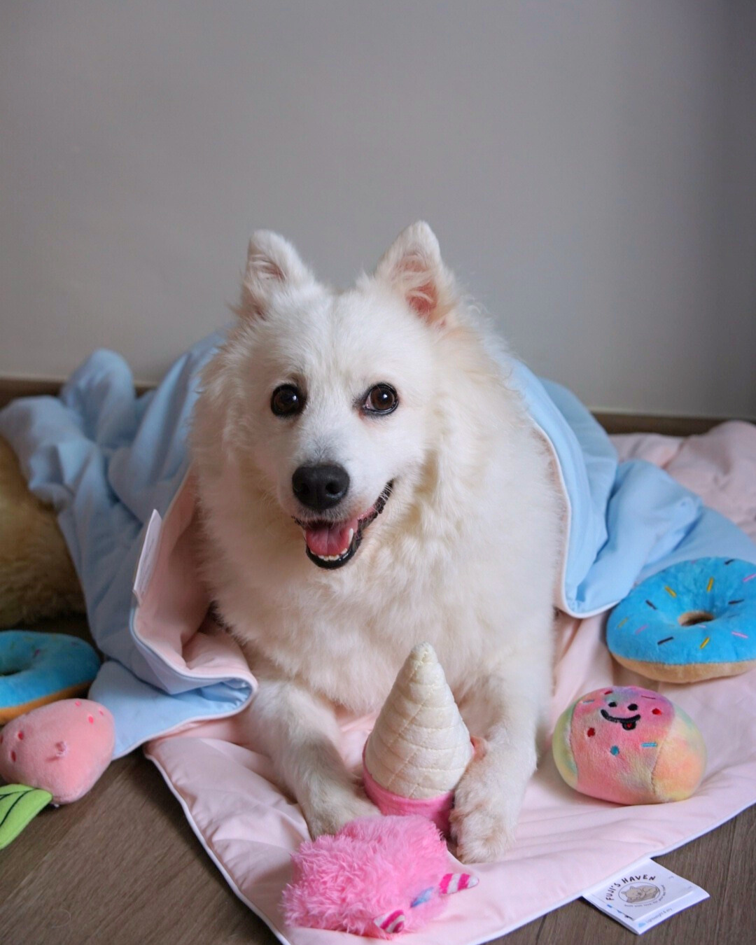 OFFICIALLY STOCKED: Mochi Cloud Blankets