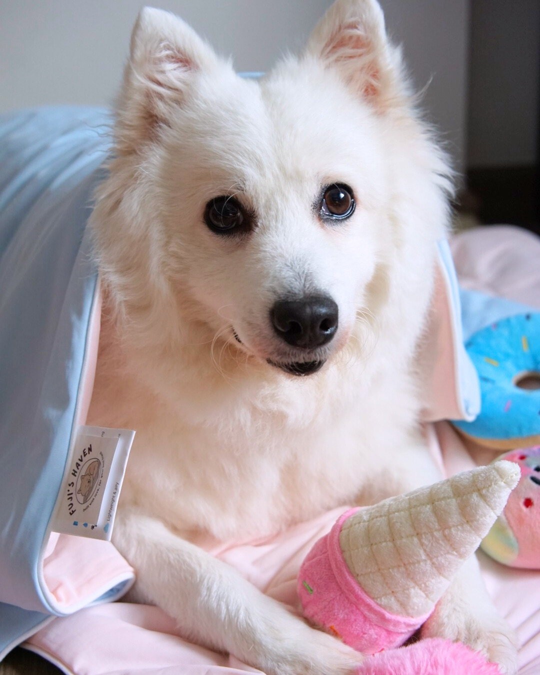 OFFICIALLY STOCKED: Mochi Cloud Blankets