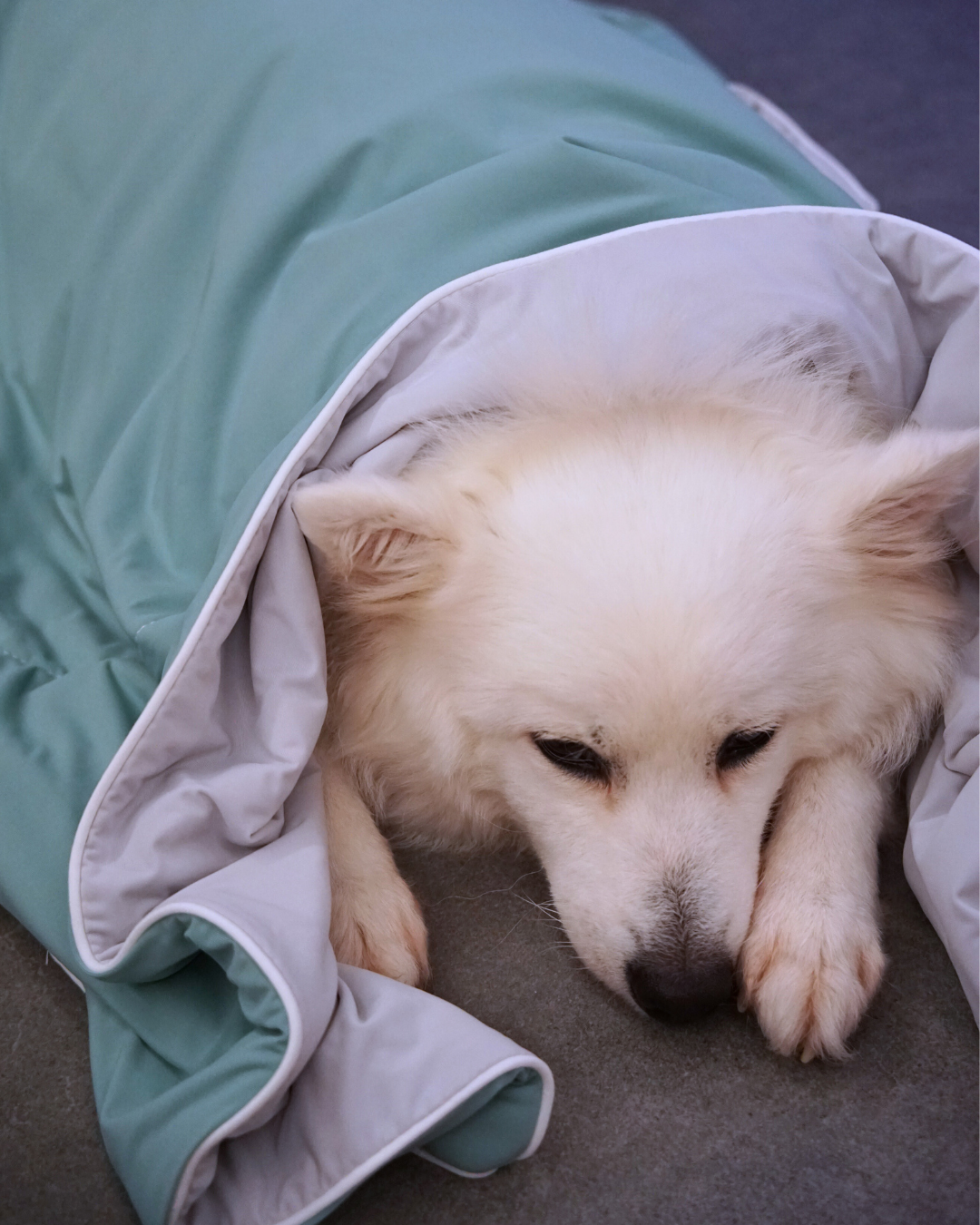 Christmas Cloud Blanket Series