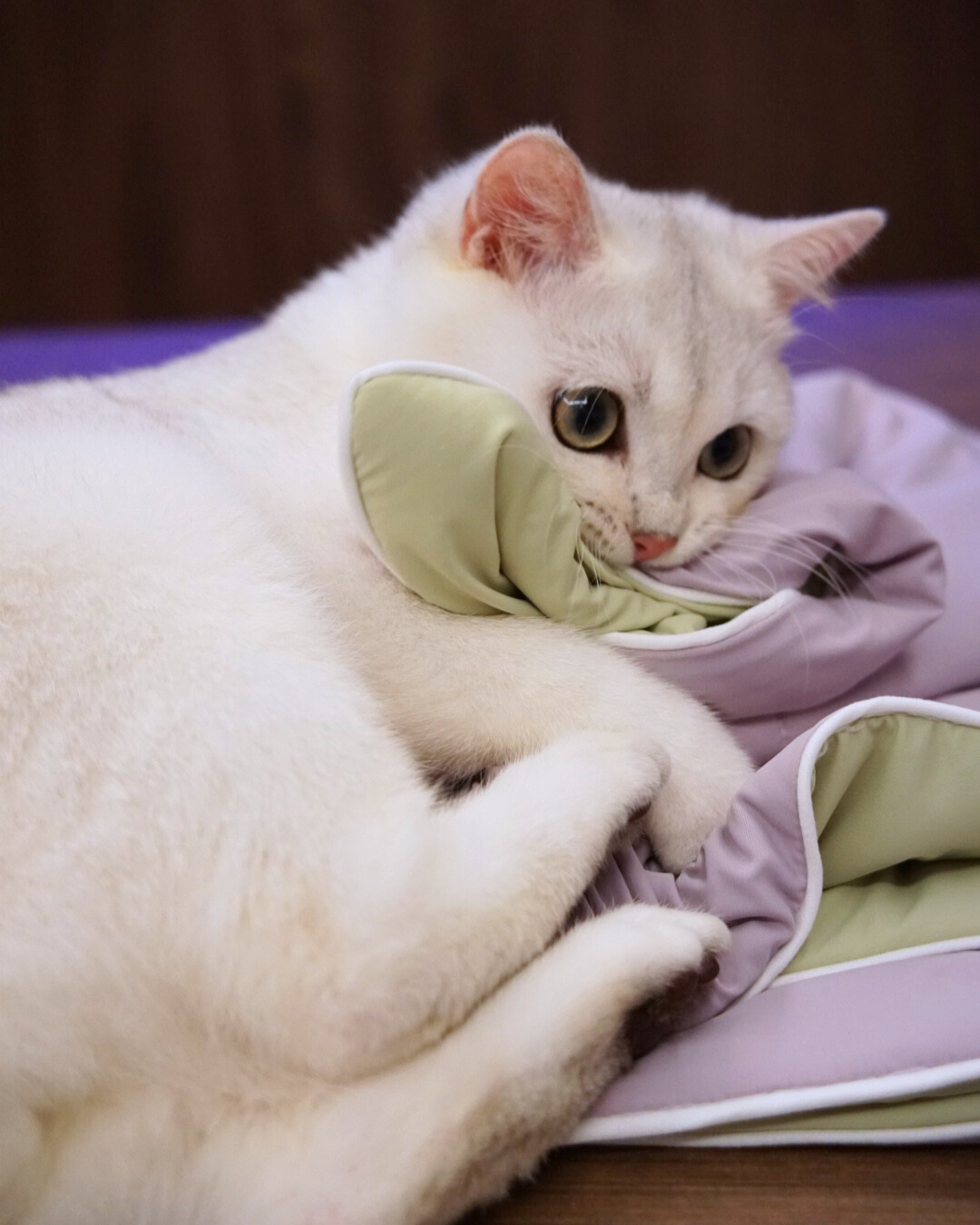 Classic Cloud Blanket Series