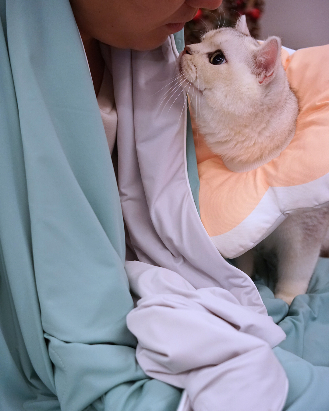 Christmas Pet & Pawrent Bundle