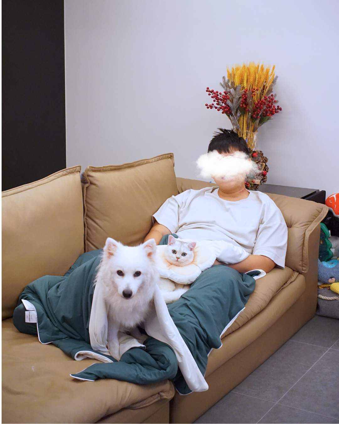 Christmas Pet & Pawrent Bundle