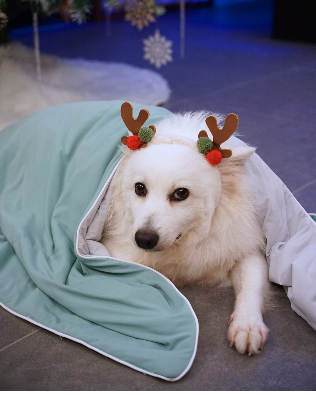 Christmas Cloud Blanket Series