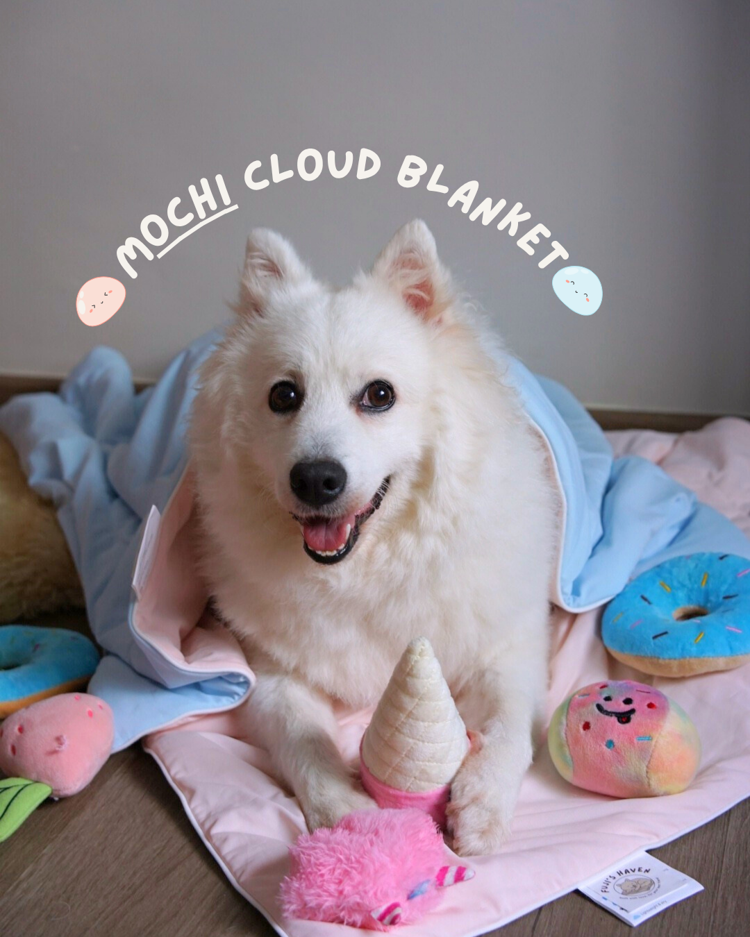 Mochi Cloud Blanket