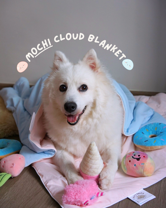 Mochi Cloud Blanket
