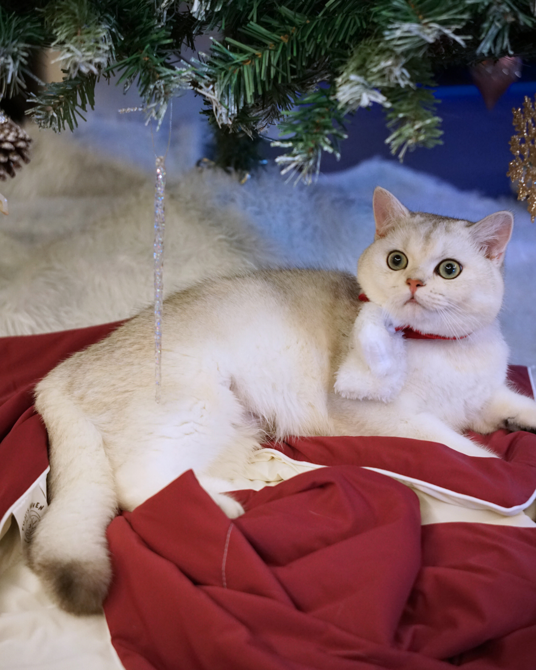 Christmas Cloud Blanket Series