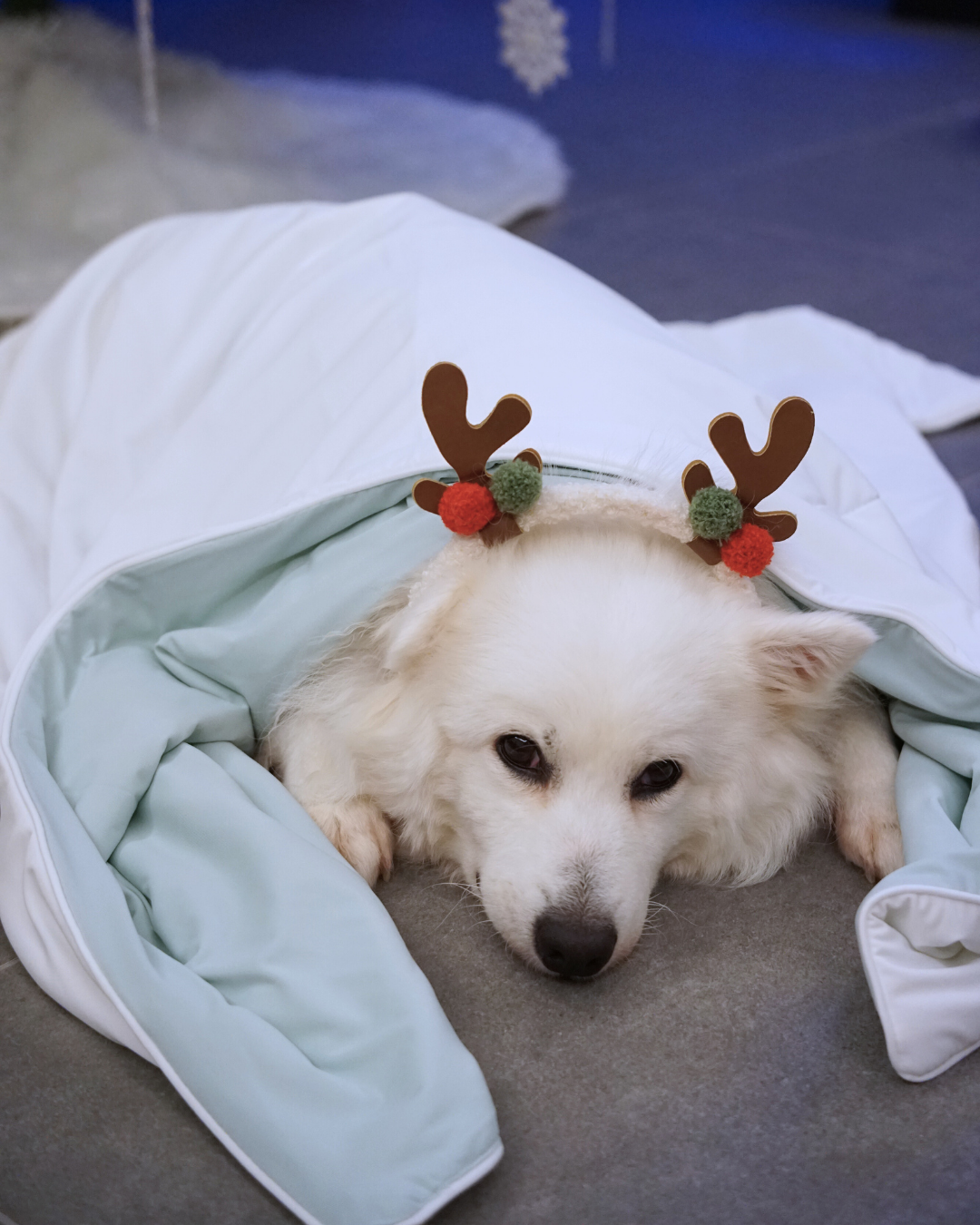 Christmas Cloud Blanket Series