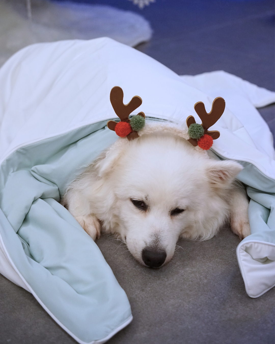 Christmas Cloud Blanket Series