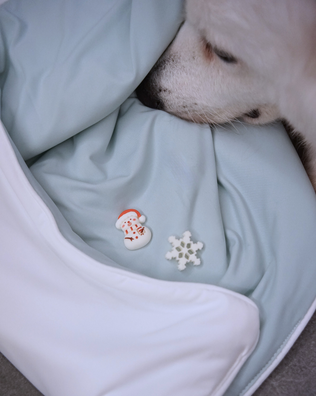 Christmas Cloud Blanket Series