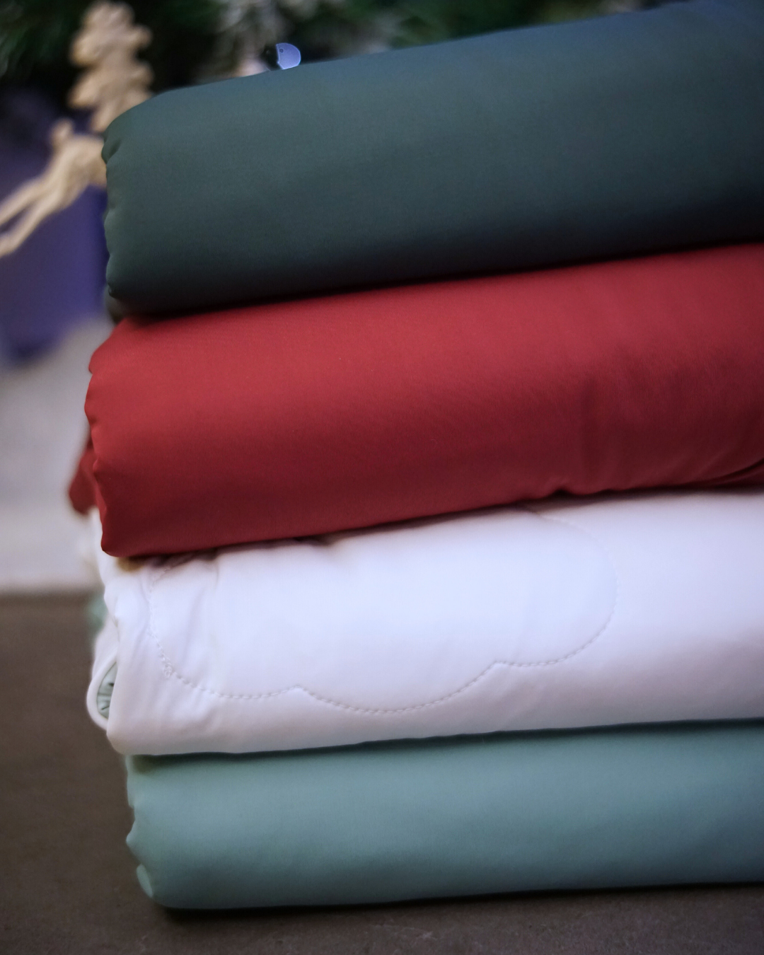 Exclusive Christmas Collector's Bundle