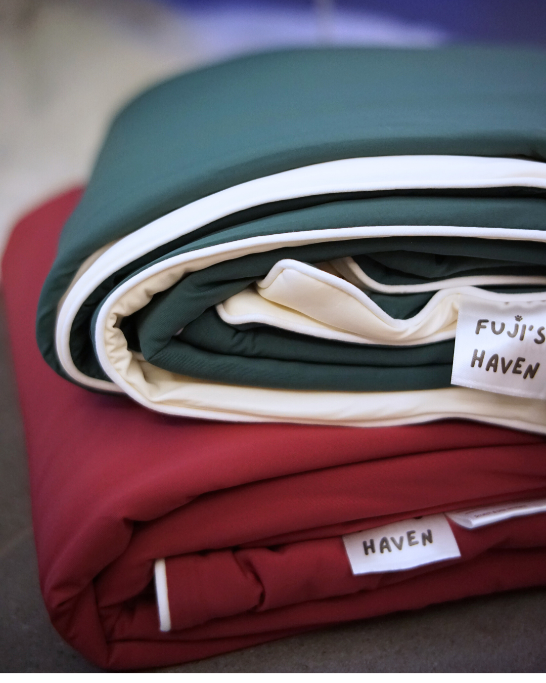 Christmas Pet & Pawrent Bundle