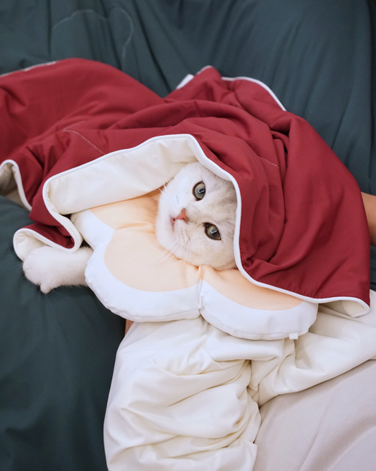 Seasonal Pet & Pawrent Bundle