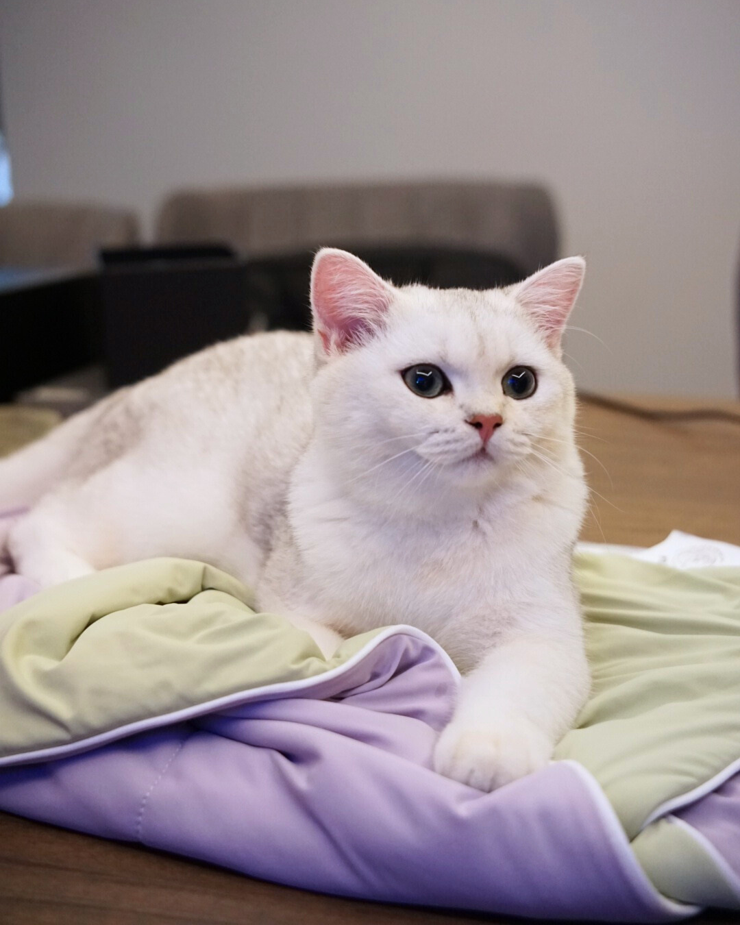 Classic Cloud Blanket Series