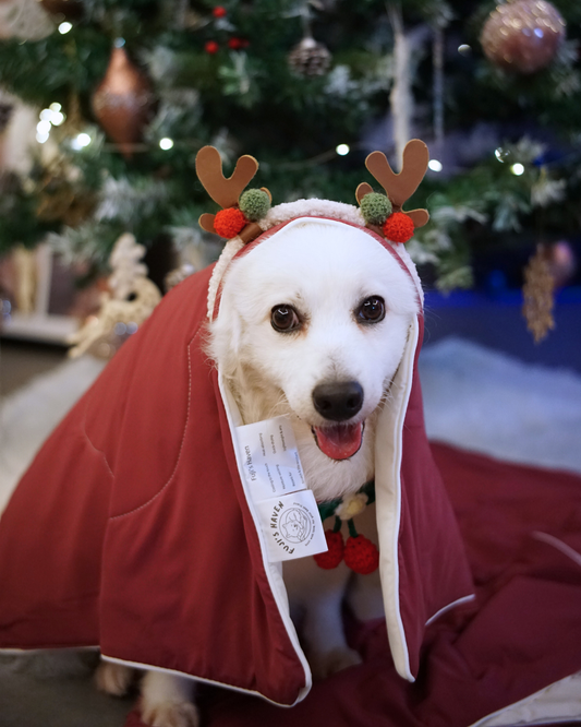 Christmas Cloud Blanket Series