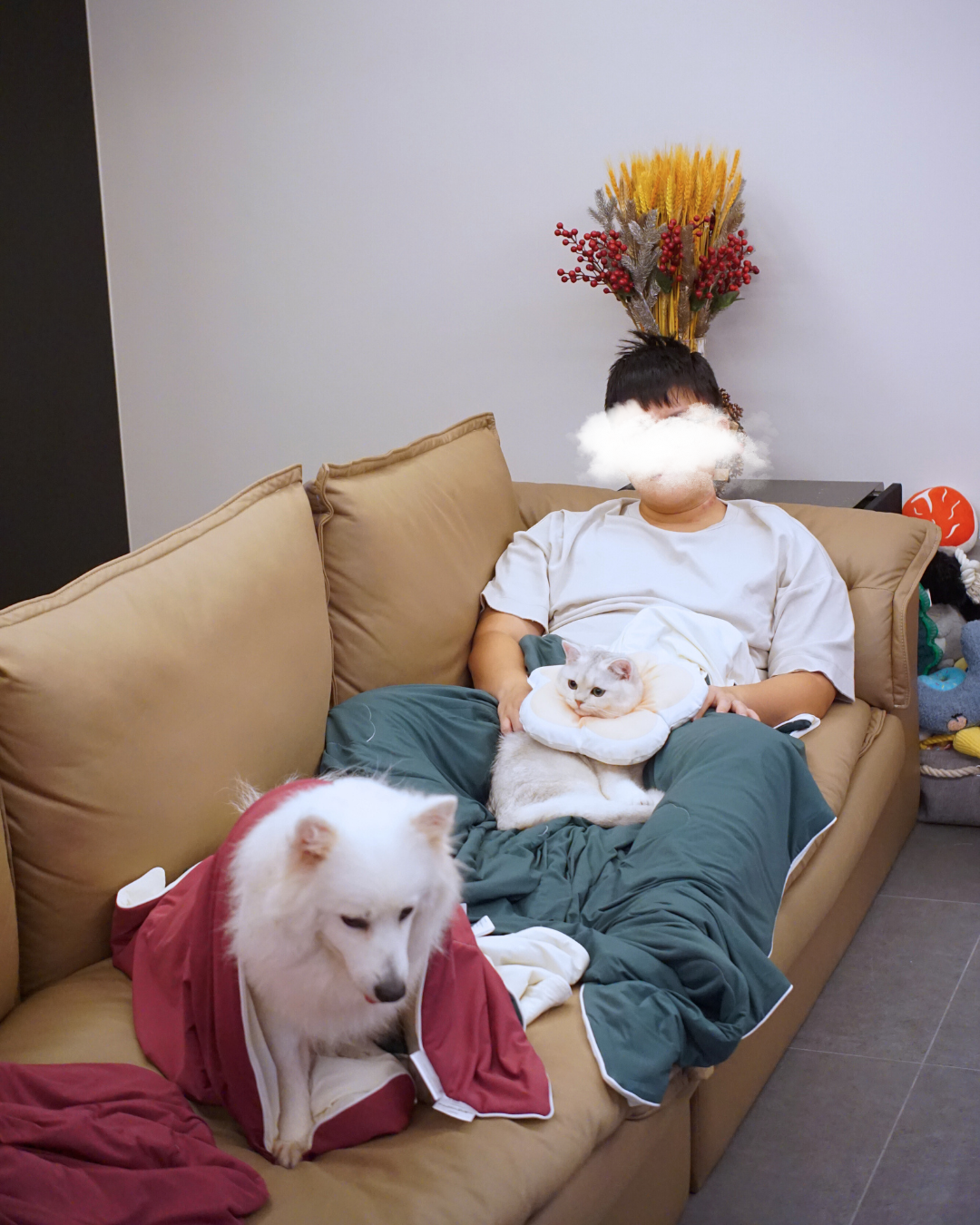 Christmas Pet & Pawrent Bundle