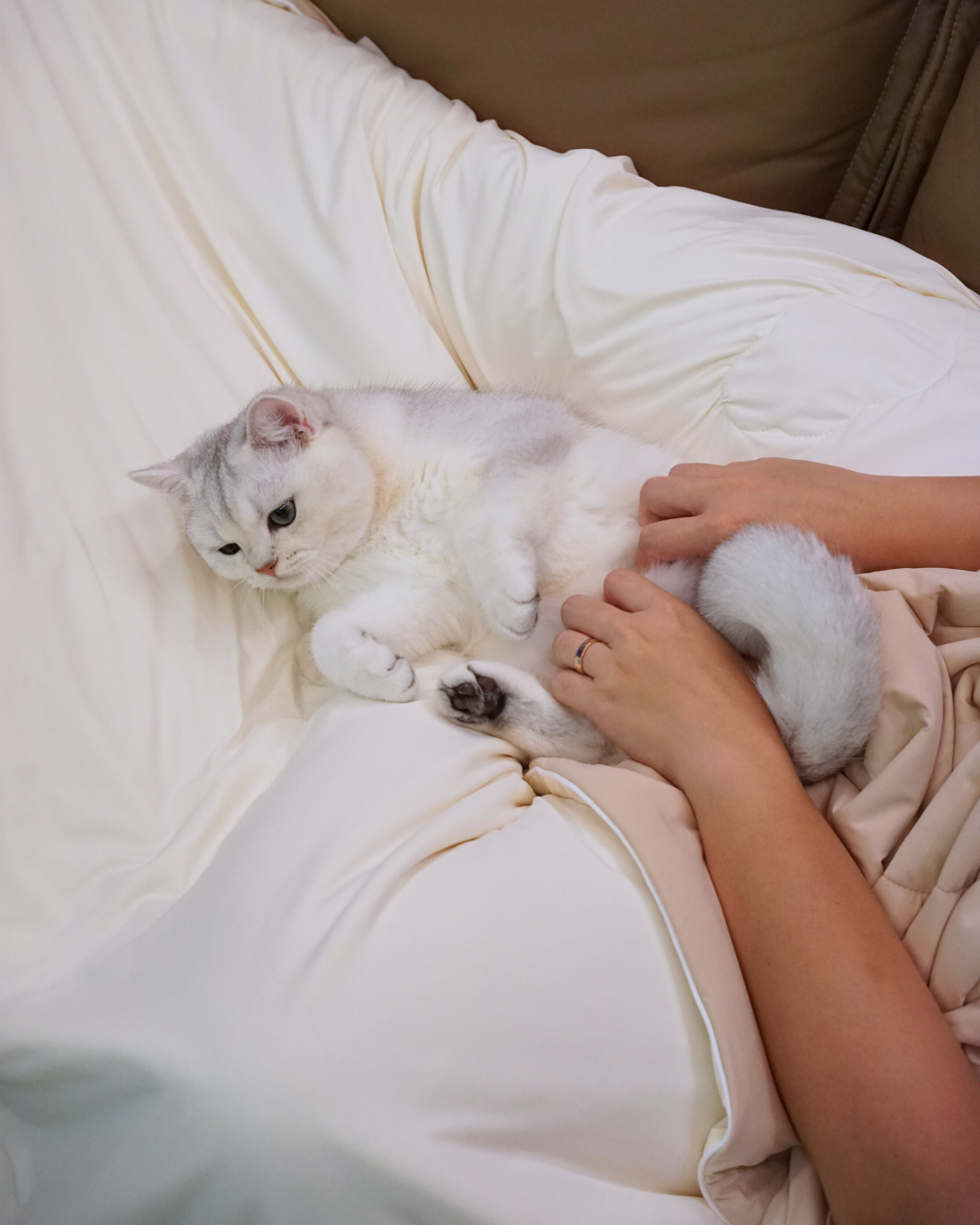 Classic Cloud Blanket Series