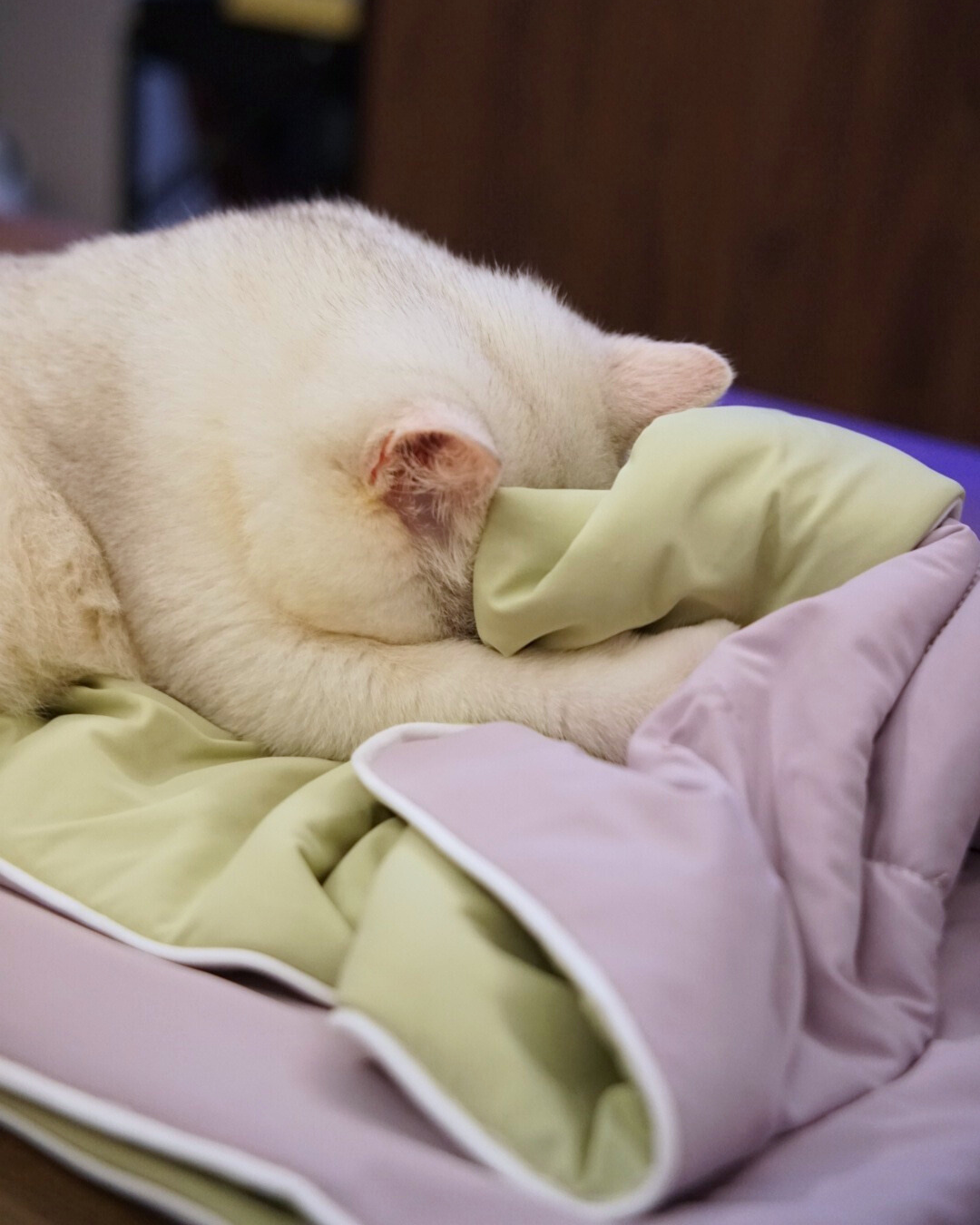 NEW DROP: Taro Matcha & Milk Tea Chiffon Cloud Blankets