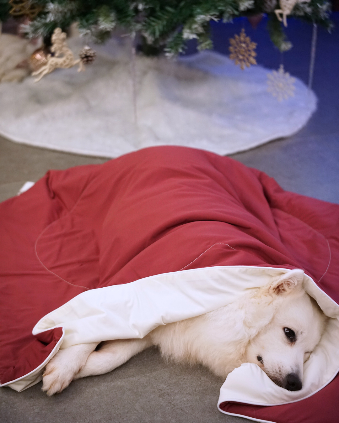 Christmas Cloud Blanket Series