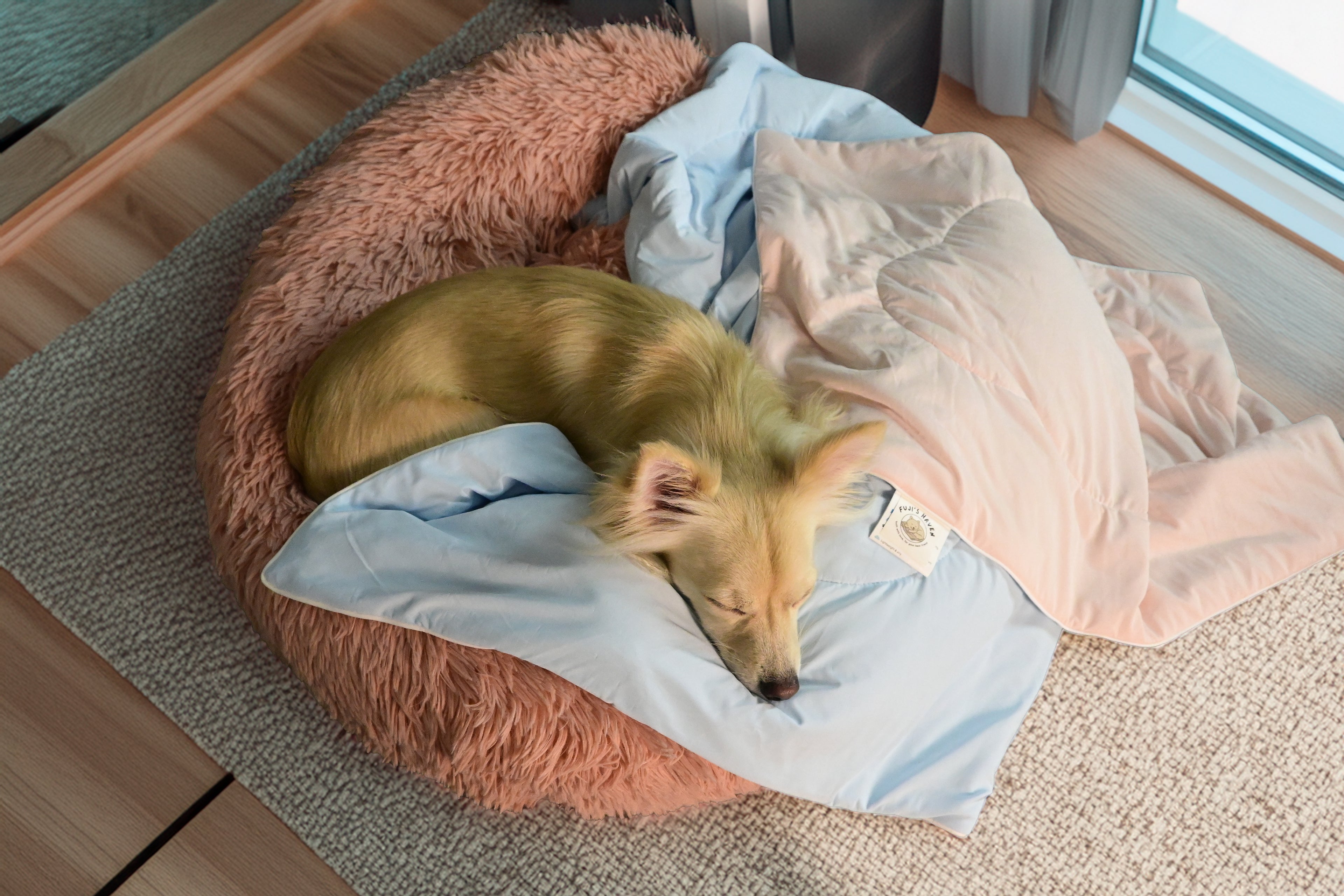 FujiCloud® Mochi Blanket