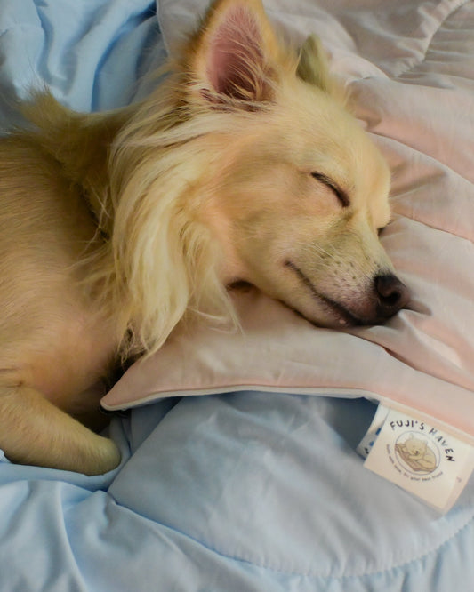Classic Cloud Blanket