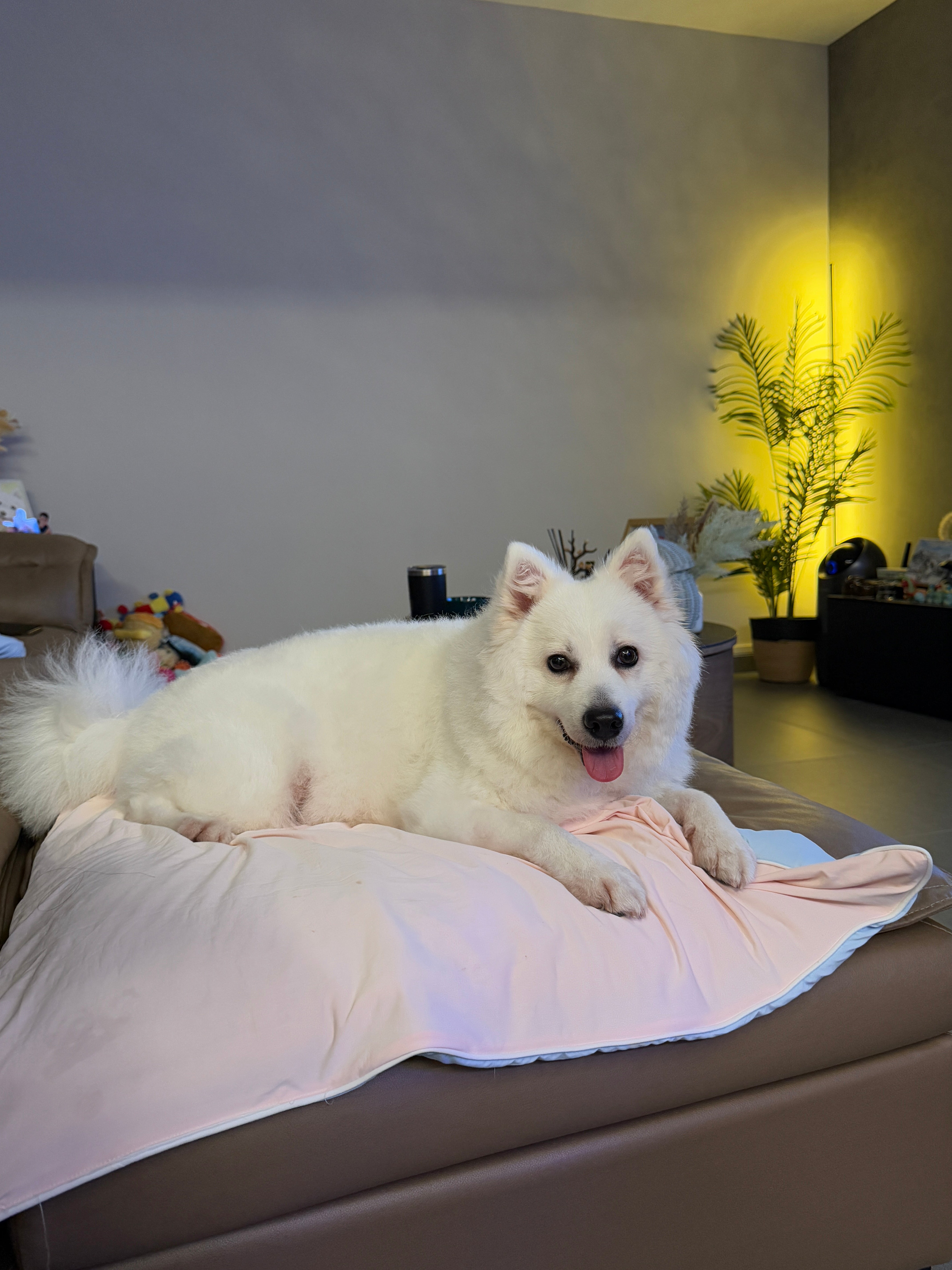 IMG_6584.jpg__PID:13321c6f-fafb-4d7d-aecf-02f321a637f2