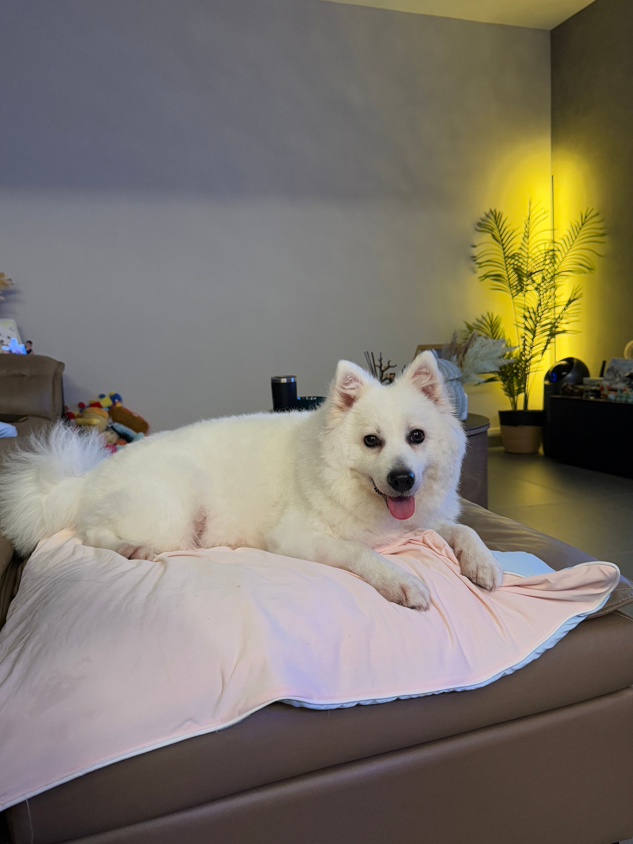 IMG_6584.jpg__PID:13321c6f-fafb-4d7d-aecf-02f321a637f2